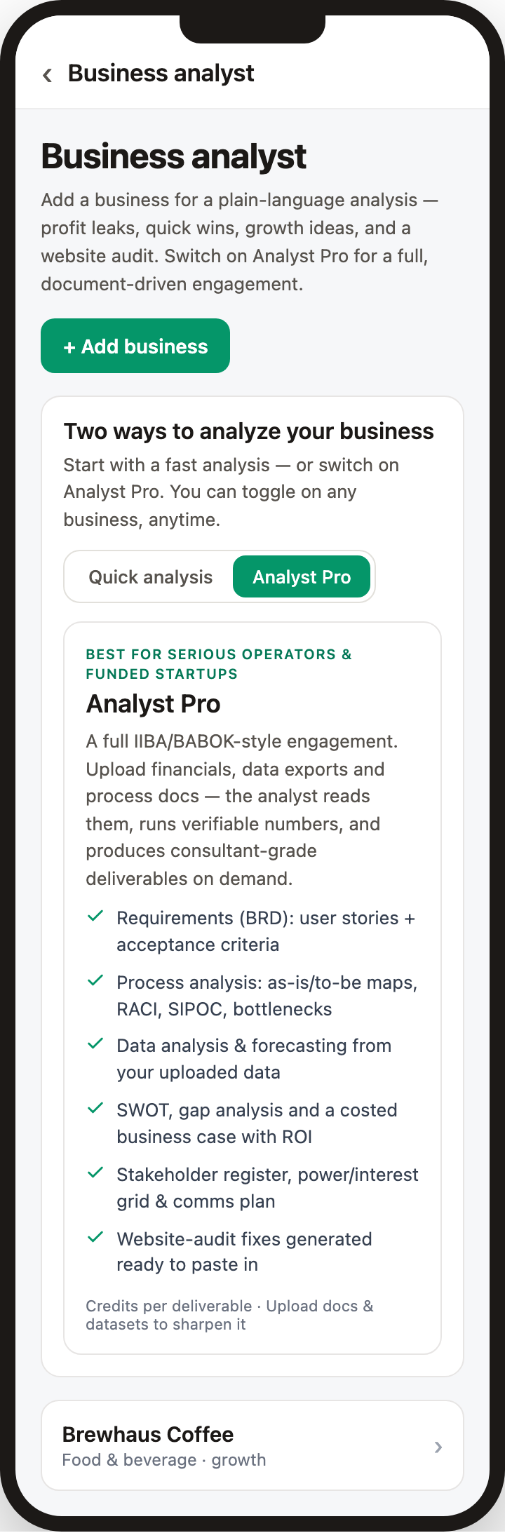 Cashowa business analyst set to Analyst Pro — requirements, process maps, forecasts, business case, and website fixes
