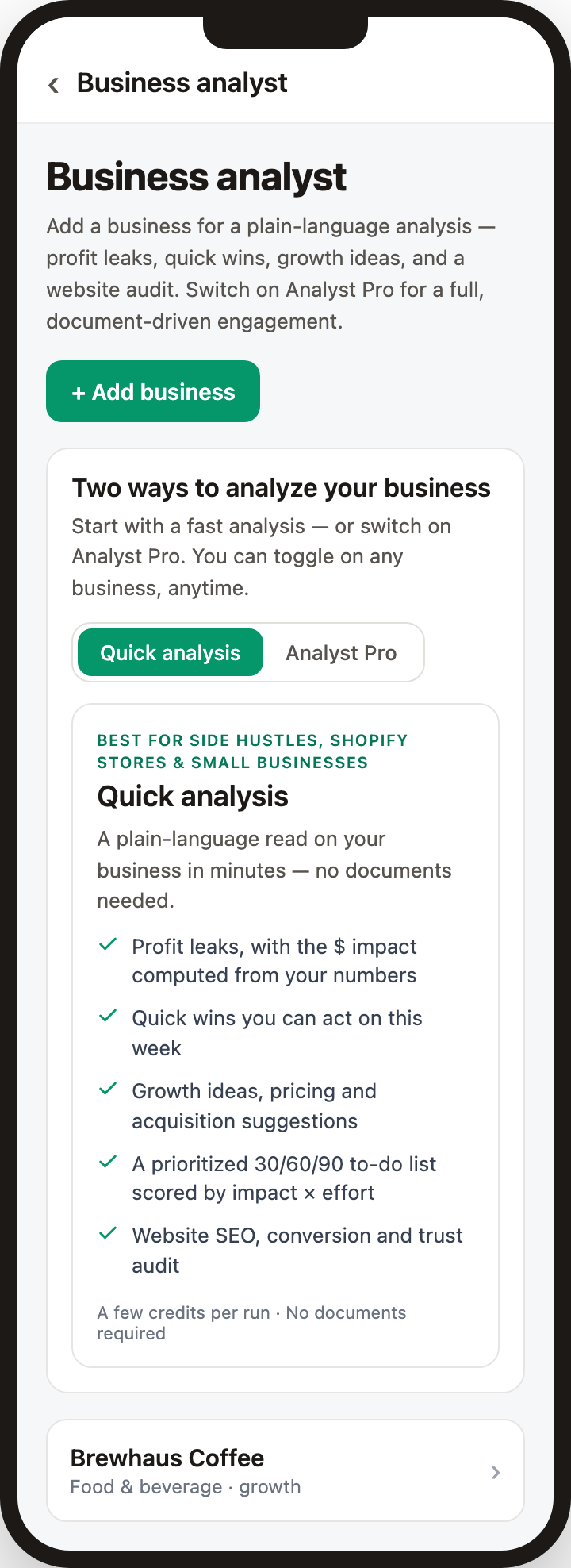 Cashowa business analyst set to Quick analysis — profit leaks, quick wins, growth ideas, and a website audit